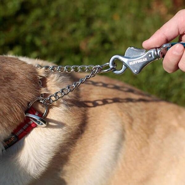 polzatezna ovratnica ruffwear chain reaction martingale ketnca trpežna kvalitetna