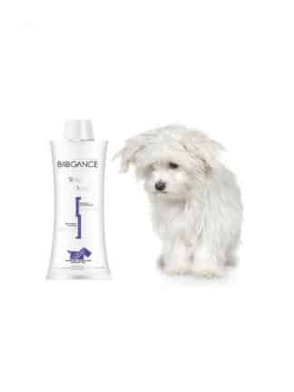naravni šampon za bele pse