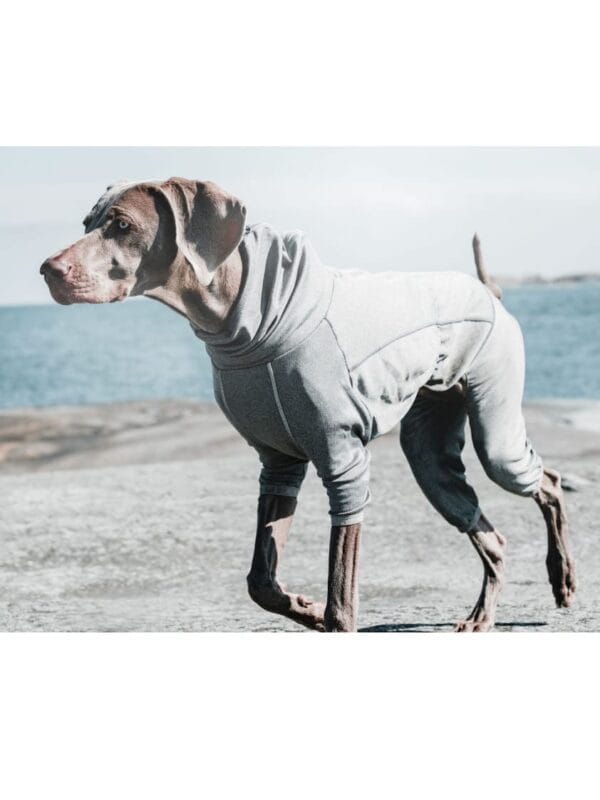 hurtty body warmer grelni plašček na štiri noge