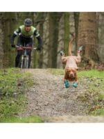 Ruffwear grip trex čeveljčki za psa - par - slika 4