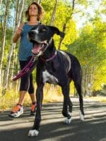 ruffwear top rope ovratnica za pse