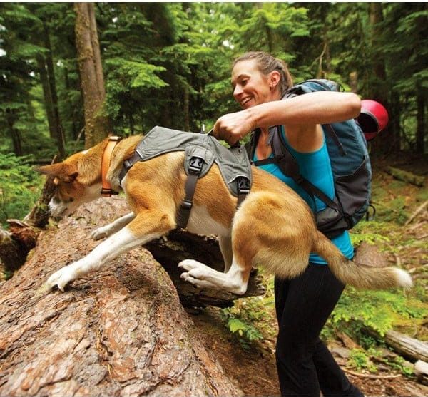 ruffwear webmaster oprsnica za psa oprsnica za v hribe hribovska oprsnica 