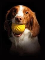 Starmark Fantastic foam ball - slika 2