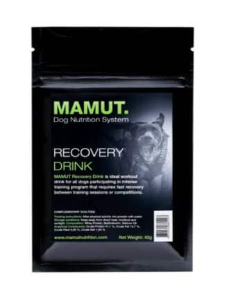 mamut recovery drink