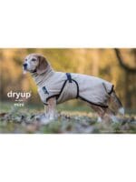 dry up plašček za pse