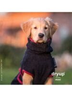 dry up coat za pse