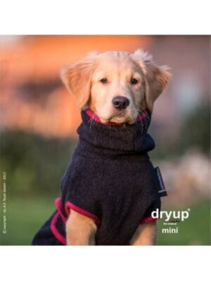 dry up coat za pse