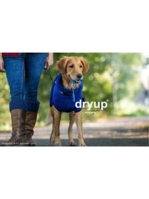dry up plašček za pse