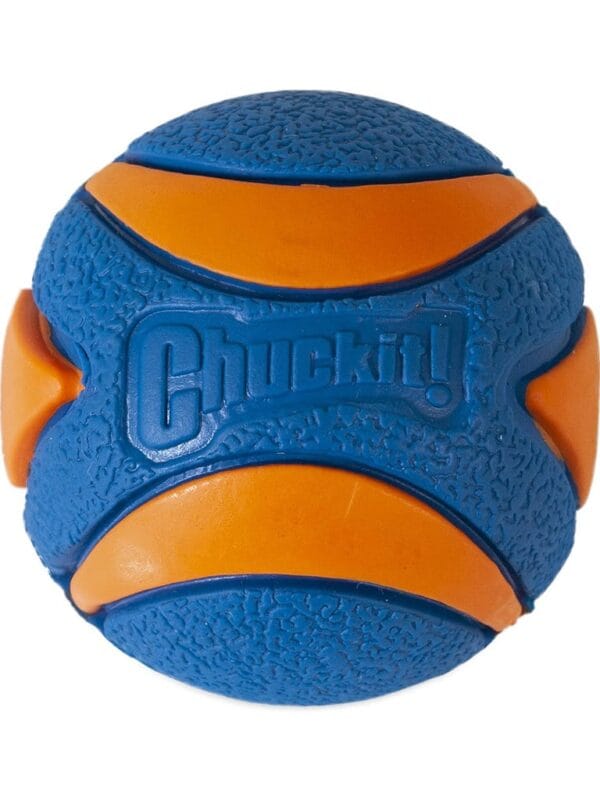 chuckit_ultra_squeak_ball chuckit piskajoča žoga