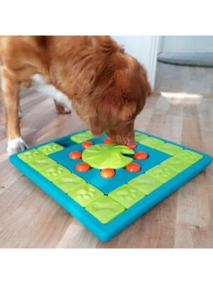 nina ottosson dogpuzzle