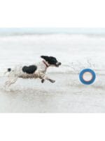 Chuckit hydro roller - slika 3