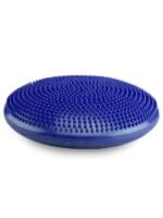fitpaws balance disc