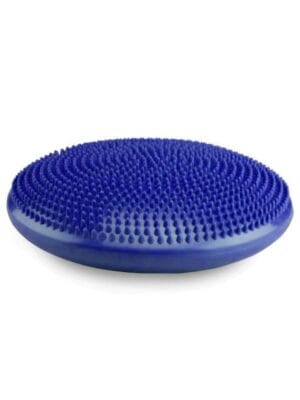 fitpaws balance disc