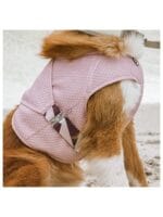 Hurtta hladilni plašček cooling wrap roza - slika 3