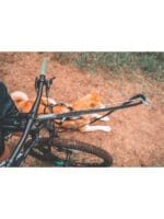 bikejoring antena