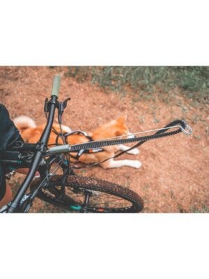 bikejoring antena