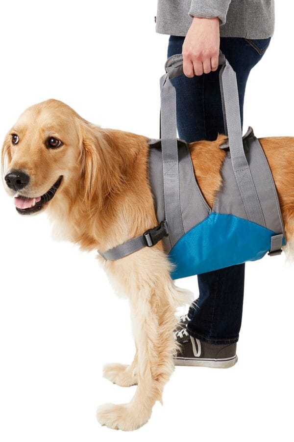 78270_MAIN._AC_SL1500_V1460478783_ Kurgo Up & About Dog Lifter - slika 1