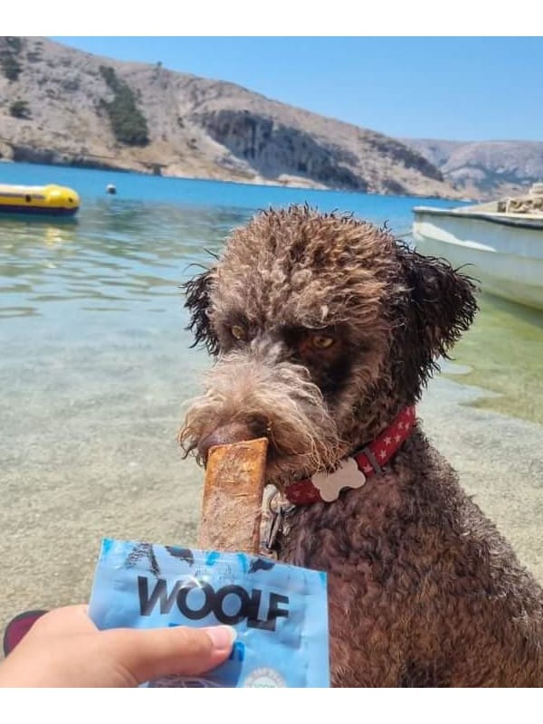 woolf no hide žvečilka za pse