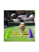 Fitpaws agility kit pripomoček za vadbo - slika 2