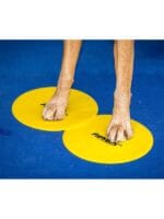 Fitpaws targets - tarče - slika 2