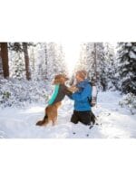 Ruffwear cloud chaser jacket turkizen - slika 4