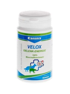 Canina zelenousta školjka velox