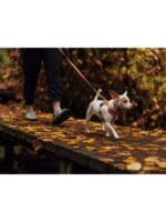 Ruffwear hi&light oprsnica SAGE GREEN - slika 2