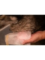 groomers secret šampon za pse