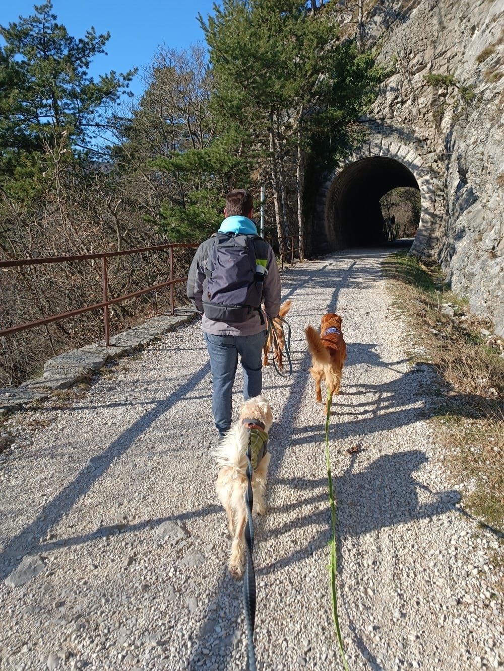 Po stari železniški progi Kozina Trst