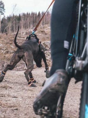 non stop protector booties čeveljčki za psa