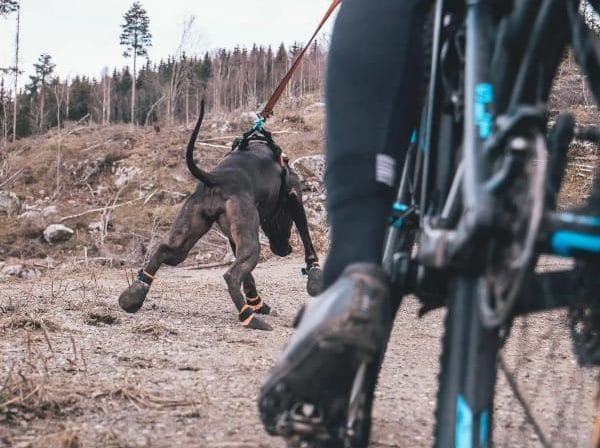 non stop protector booties čeveljčki za psa pasji copatki čeveljčki za pse 