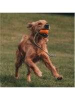 beco pets sling pebble