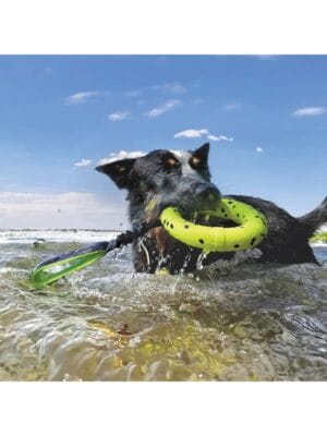 kong reflex tug