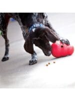 kong wobbler