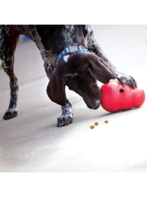 kong wobbler