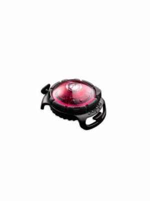 Orbiloc dog Dual LED lučka