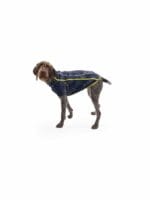 Ruffwear climate changer jacket galaxy - slika 2