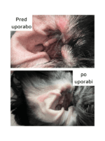Provilan Vet probiotično čistilo za ušesa - slika 2