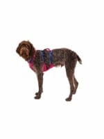 ruffwear flagline oprsnica alpenglow pink
