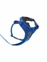 Ruffwear front range oprsnica BLUE POOL - slika 2