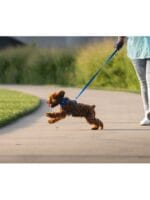 Ruffwear front range oprsnica BLUE POOL - slika 3
