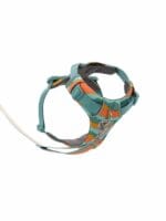 Ruffwear front range oprsnica SPRING MOUNTAINS - slika 2