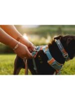 Ruffwear front range oprsnica SPRING MOUNTAINS - slika 3
