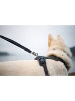 Ruffwear front range oprsnica BASALT GRAY - slika 3