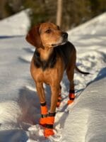 Non-Stop Contact bootie - slika 3