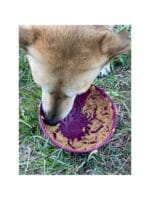 Sodapup Garden of Eatin Tipsy Bowl - slika 2