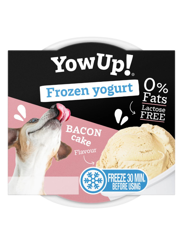 frozen yogurt slanina