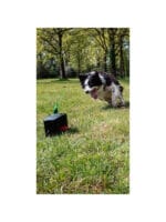 Dog Comets Star Chaser - slika 3