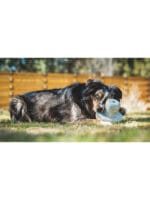 Ruffwear Porcini - slika 4