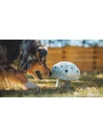 Ruffwear Porcini - slika 5